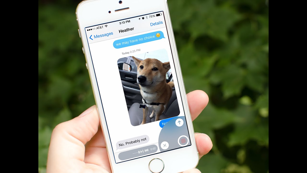 Как написать в личку в вайбере? - easydoit.ru