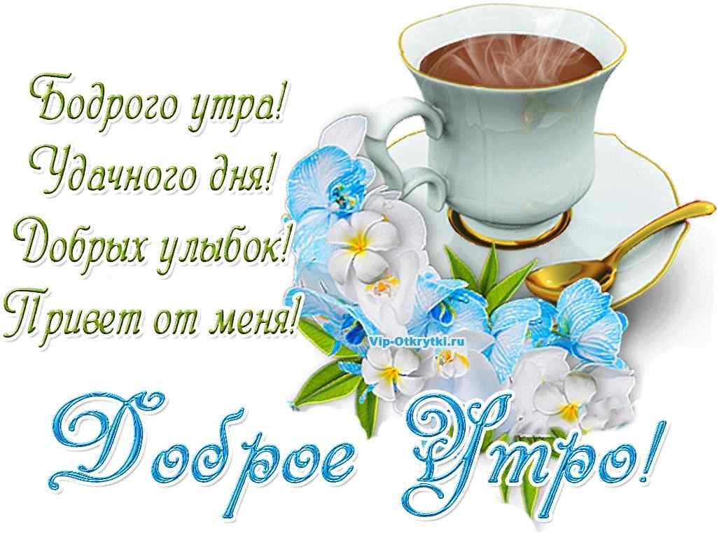 Как написать сообщение в viber с телефона и компьютера