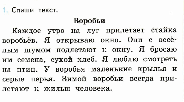 Программа ворд (microsoft word 2016)