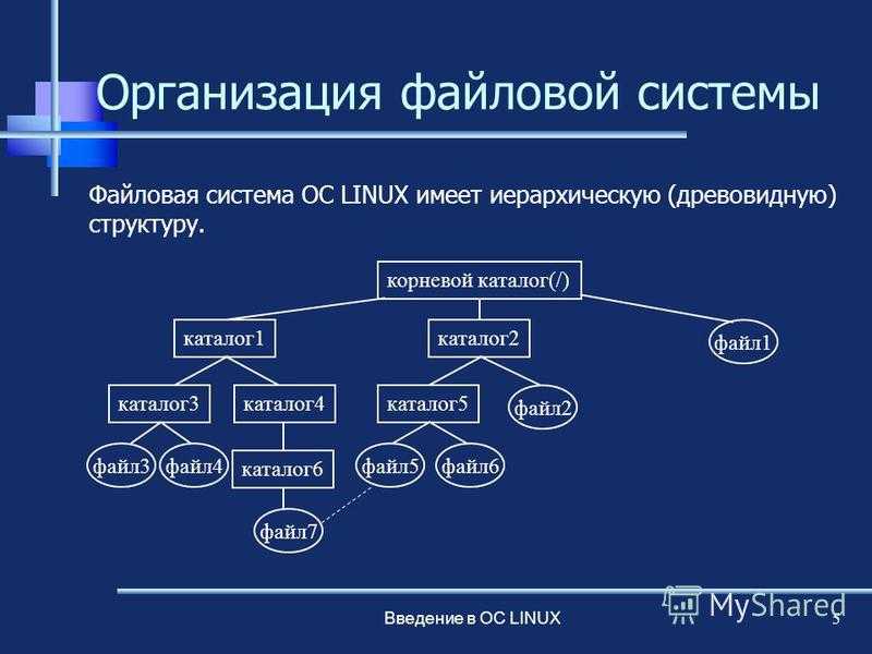 Где находится etc linux: подробный гайд и обзор пути к каталогу etc на linux-системах