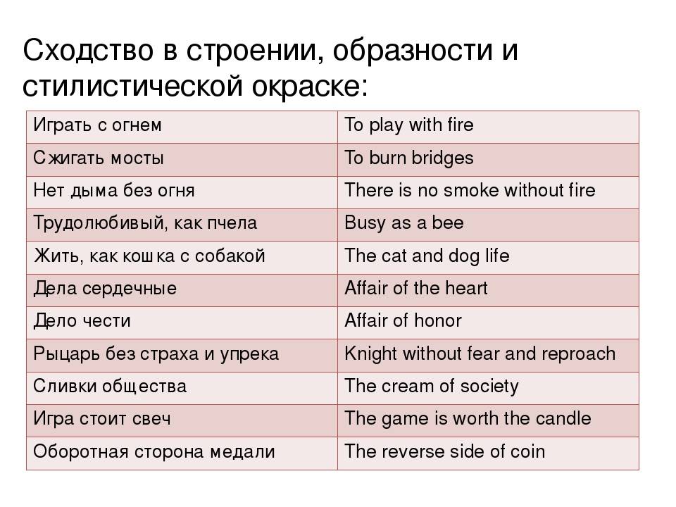 Заимствованные слова в русском языке. примеры