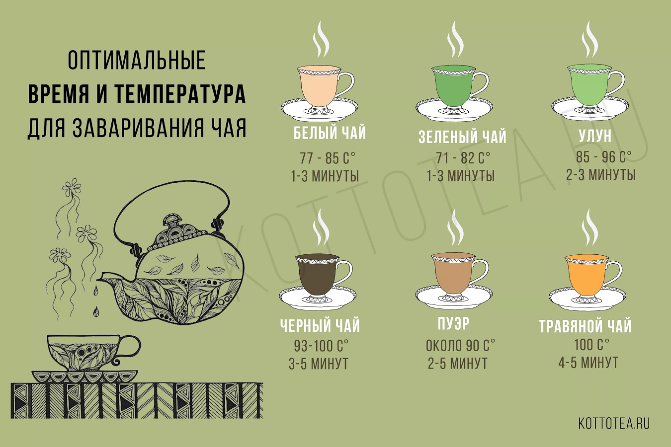 Польза для организма крупнолистового чая