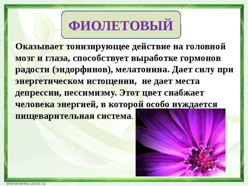 Психология цвета - значение цветов в психологии личности