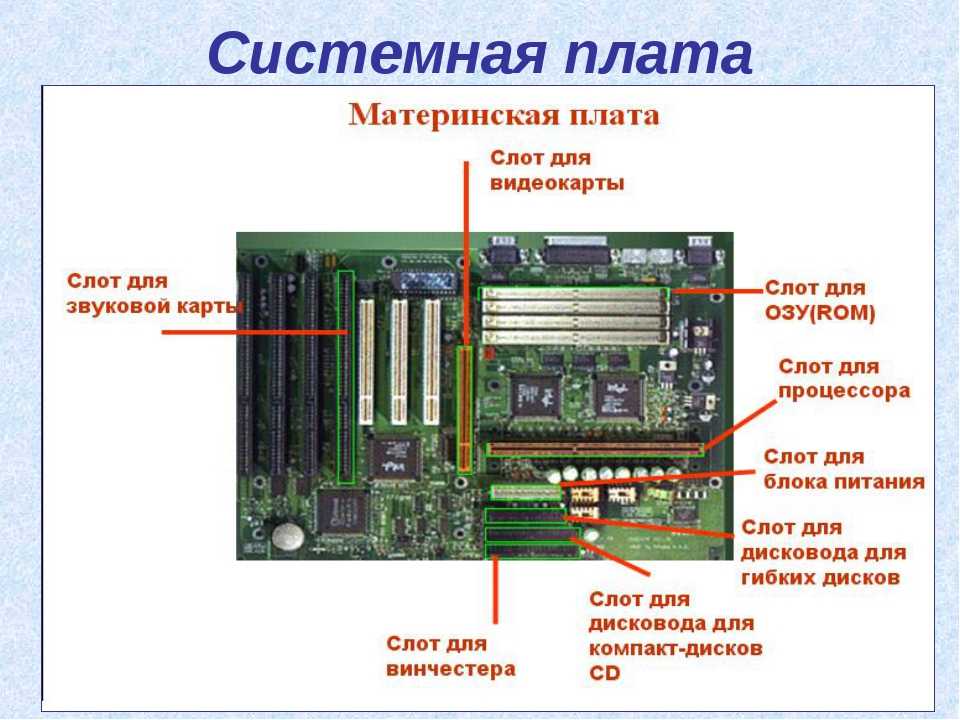 Что такое материнская плата и как она устроена