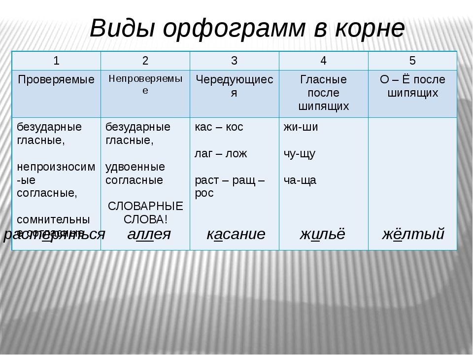 Отображаются: правильное написание и употребление