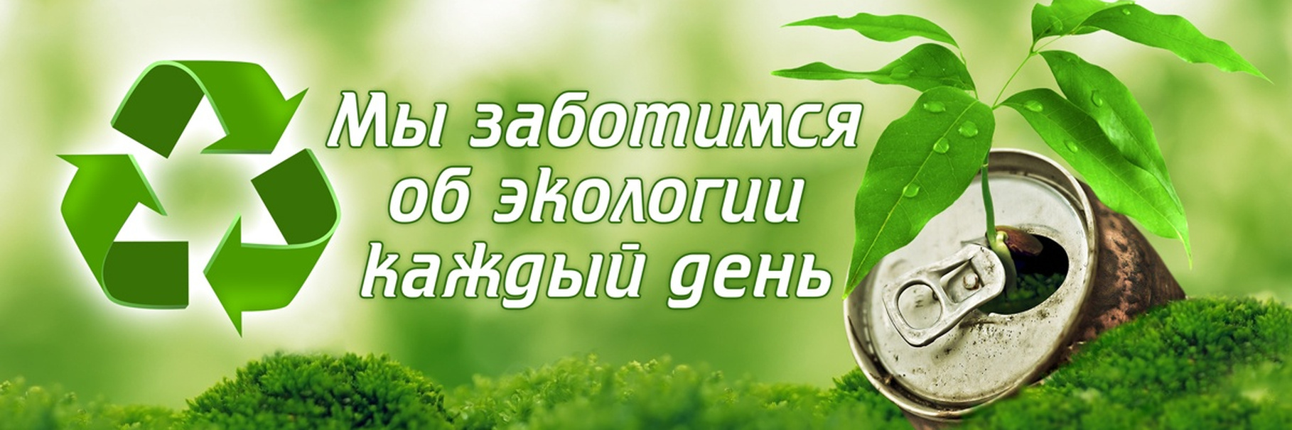 Виды и последствия экологических загрязнений