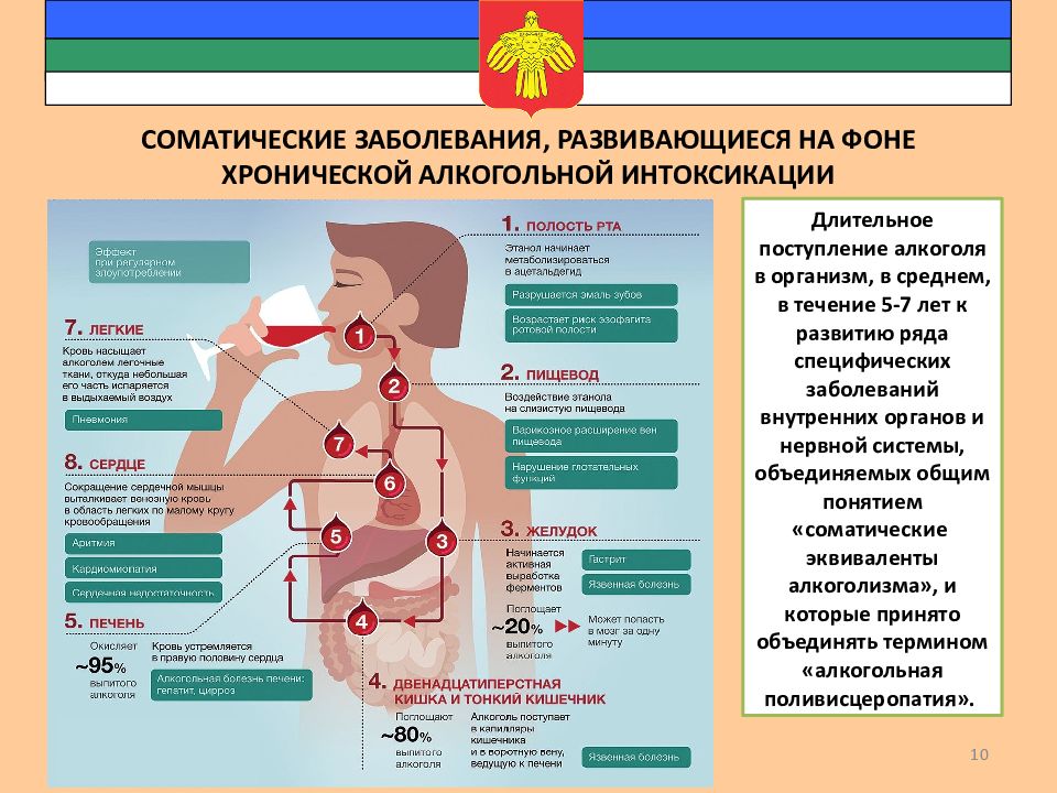 Запой – болезнь или слабость характера? | статьи о выведении из запоя | вывод из запоя | лечение зависимостей | услуги | миннесота