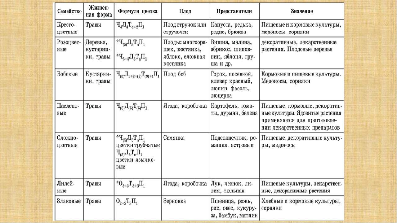 Строение цветка