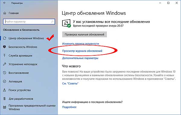 Grey screen in snipping tool: 4 ways to get it to work