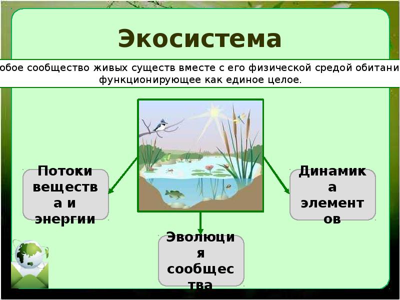 Что такое озеро: кратко о важном и каковы его признаки, отличие от реки и моря