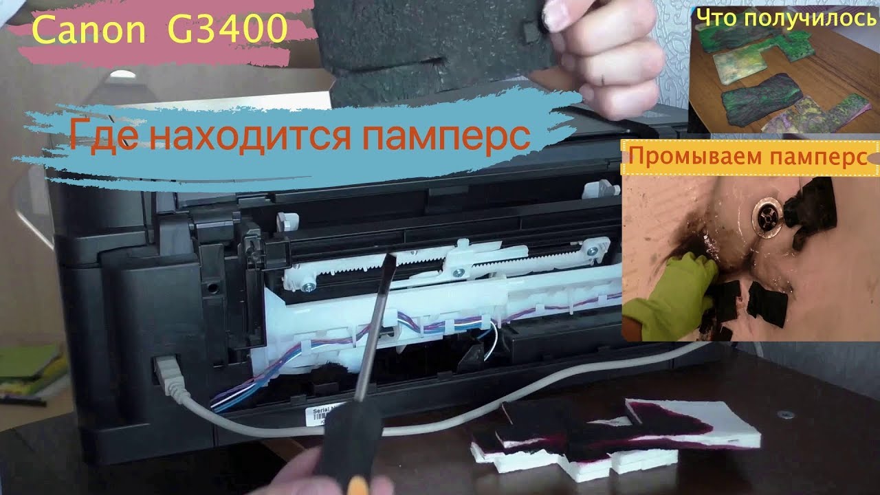 Абсорбер чернил полон canon, как почистить/сбросить абсорбер в принтере canon на кэнон mg2440