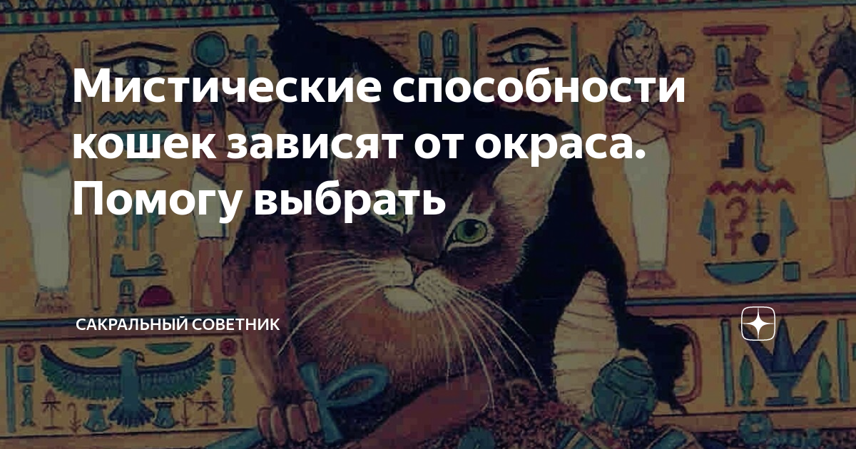 Народные приметы: энергетика кошек разной масти