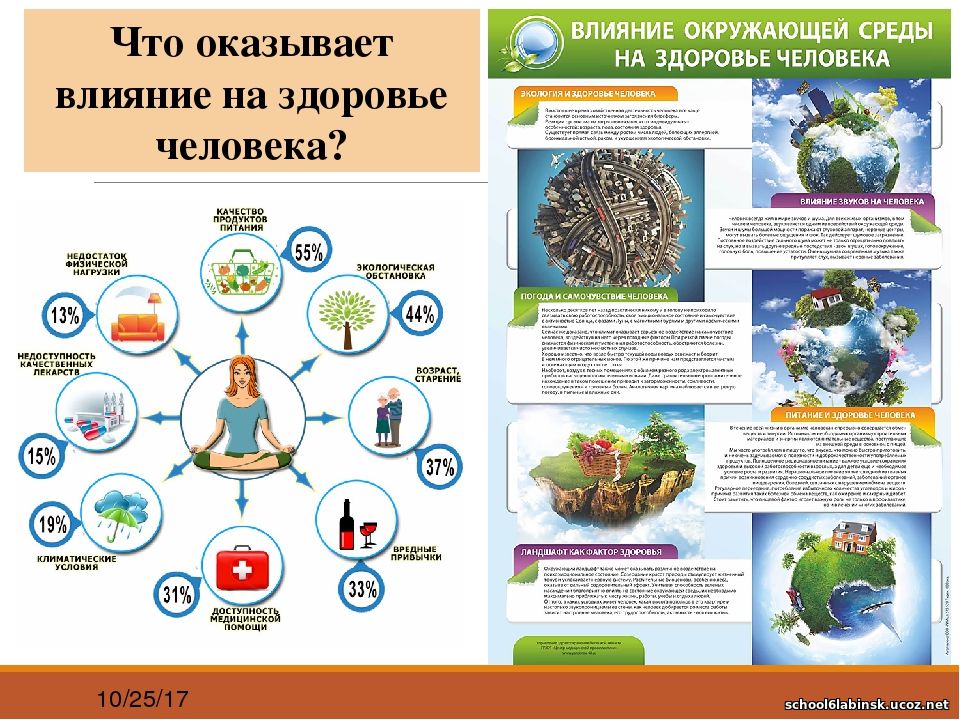 Час земли: 5 экологичных привычек от greenpeace