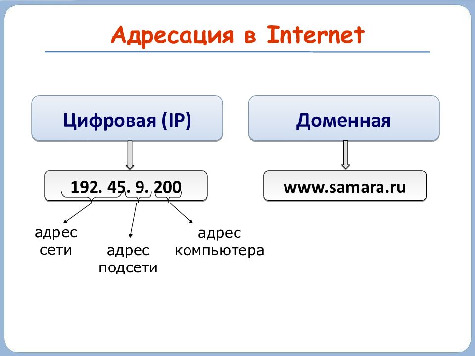 Что такое префикс сети, и как он помогает расшифровать ip-адрес
