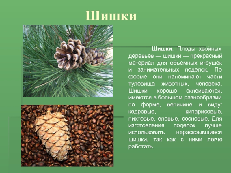 Что значит набить шишек