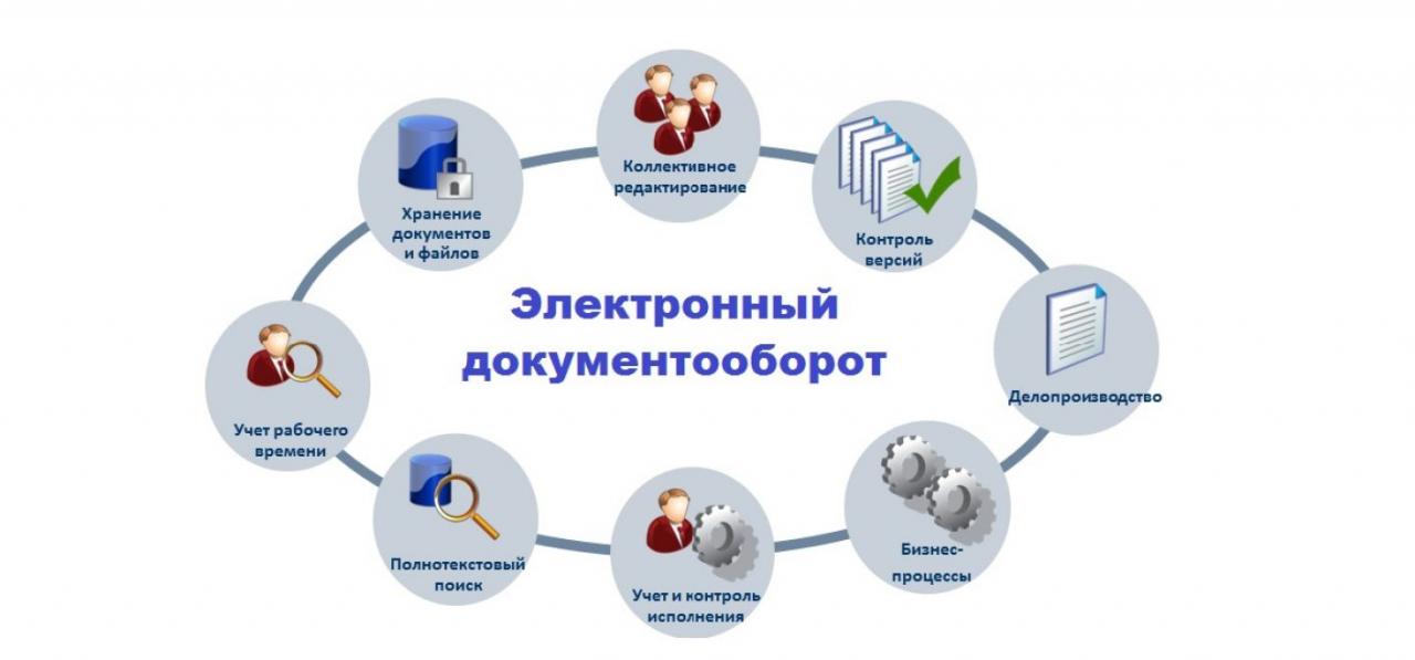 Топ-10 систем и программ эдо — рейтинг 2024