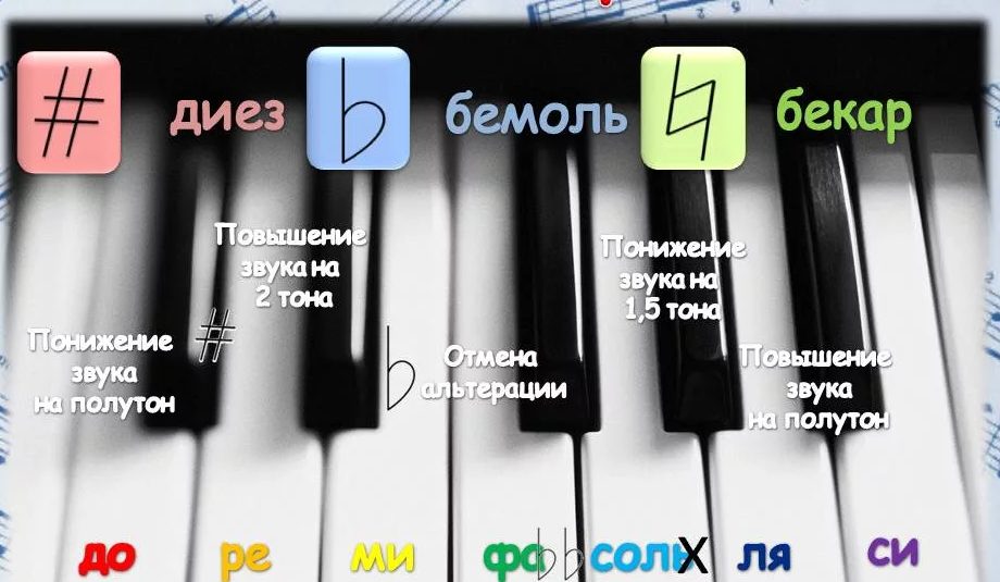 Знаки альтерации в музыке. всё о знаках диез, бемоль и бекар