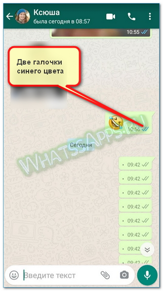 Что такое личка в whatsapp: особенности и возможности