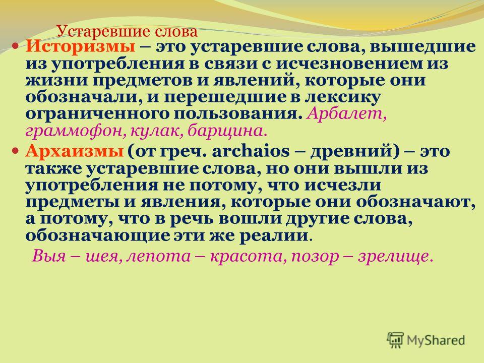 Чай кудин: польза и вред волшебного напитка из китая