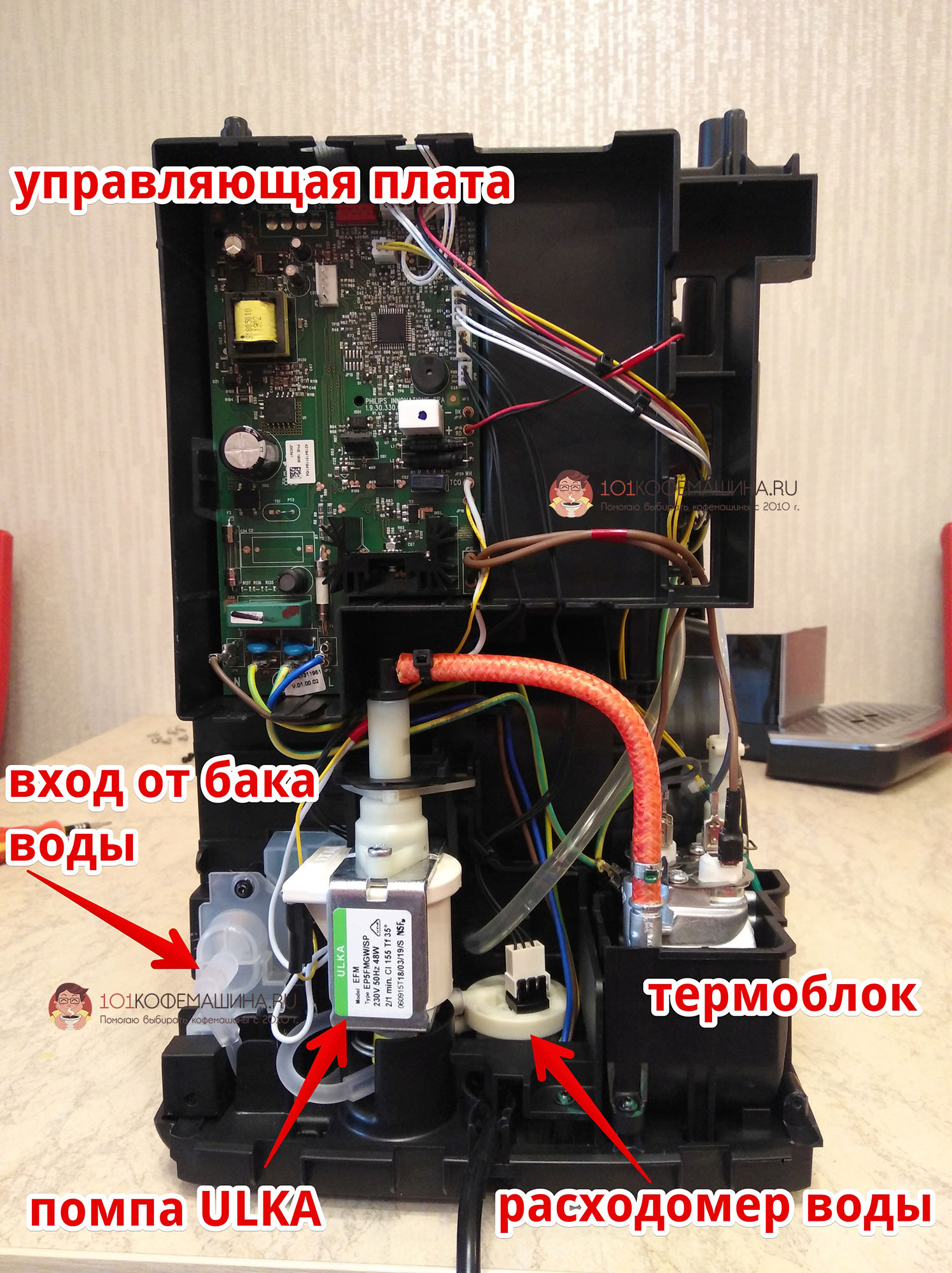 Ремонт кофеварок delonghi, saeco, krups | глорионика