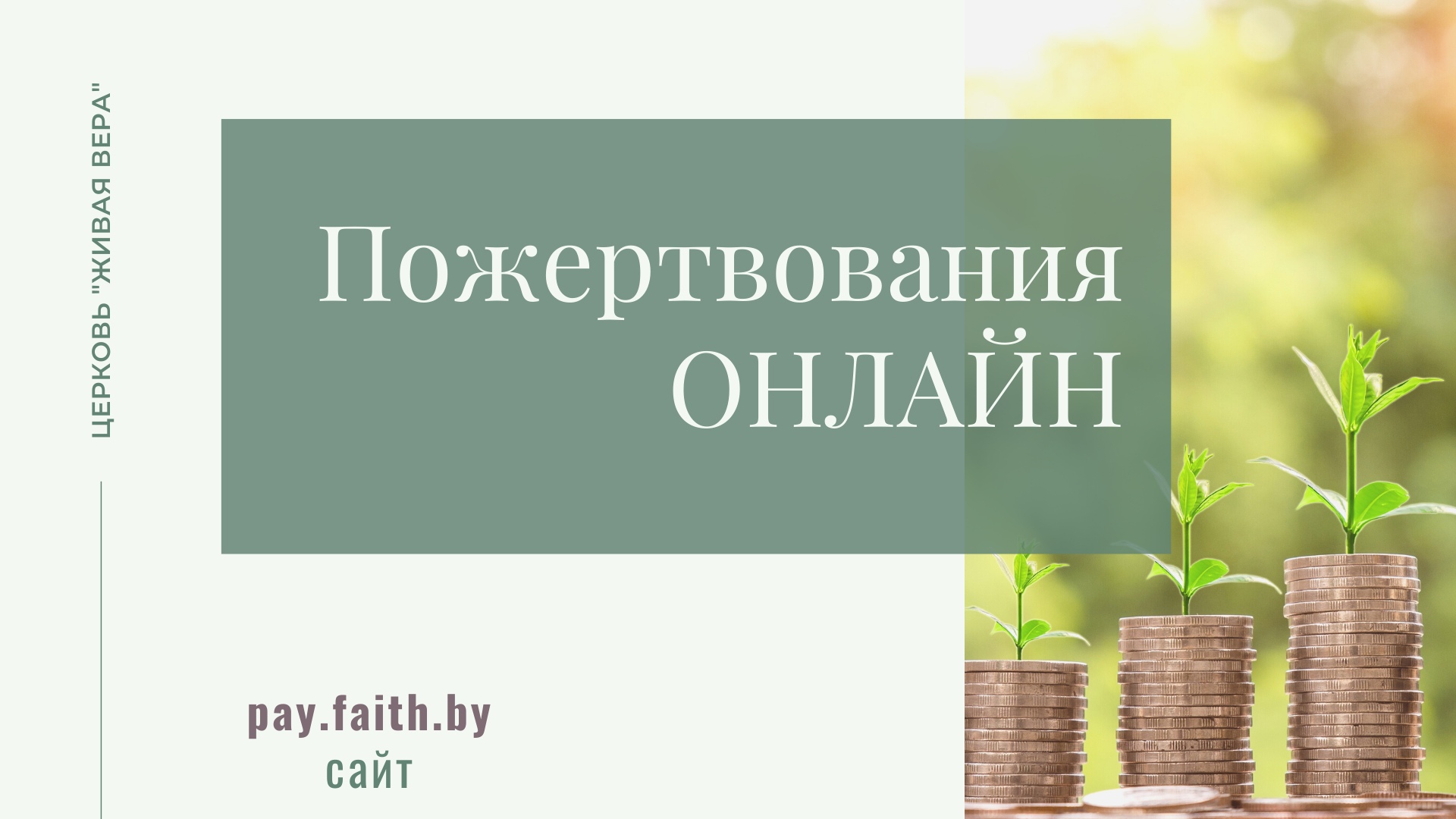 Как начать сбор пожертвований и донатов на своем сайте