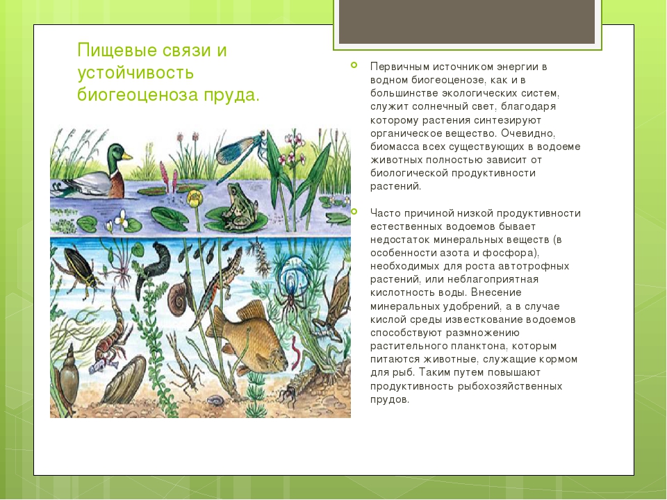 Что такое озеро: признаки, 9 основных типов озёр, определение, значение в географии