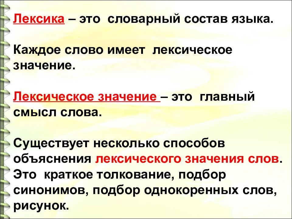 «лингвистический сирота»: язык басков и его загадки