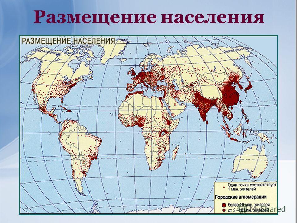 Дортуар: что это такое и что означает этот термин?