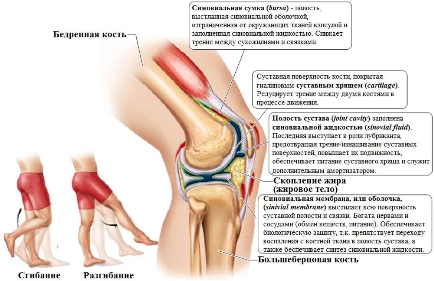 К чему чешутся колени: приметы про правое и левое колено