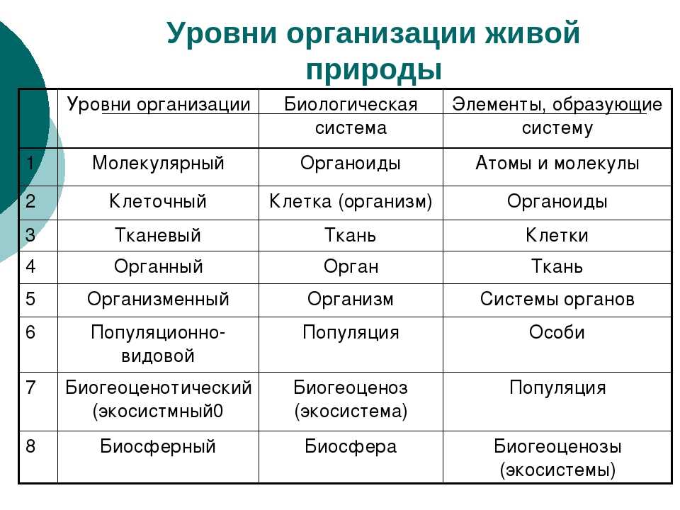 Барыга: кто это и что означает барыжить в современном обществе | 👩‍💻 темы и идеи для блога