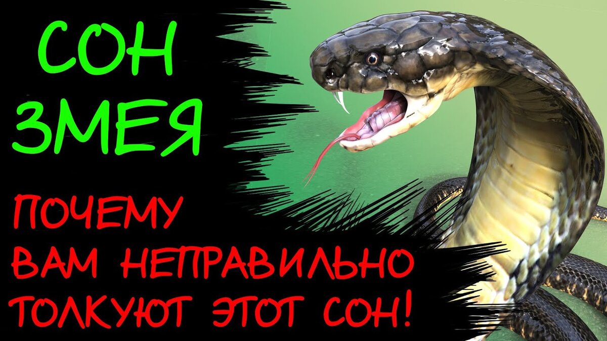 Не трави мне душу: что значит этот выражения и как не допустить негативного влияния на свою психологическую составляющую?