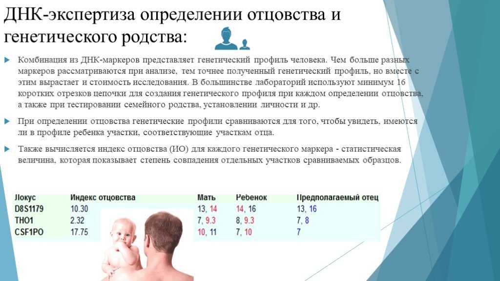 Презентация на тему "отцы"