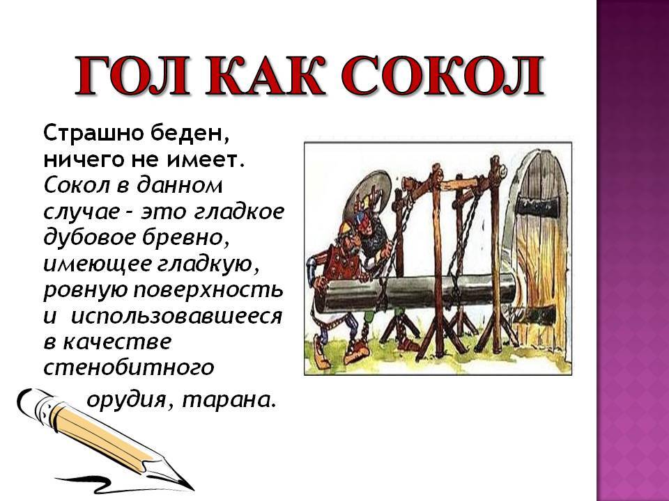 Откуда пошло выражение «сонная муха»