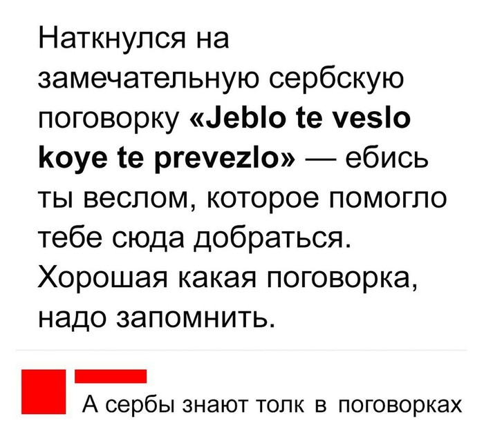 Примеры забавных ругательств из разных стран мира - zefirka