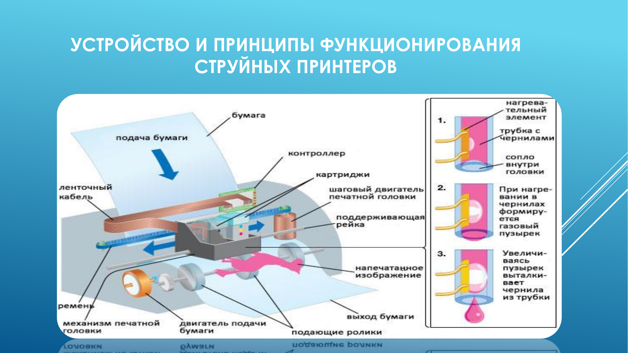 Принцип работы принтера и его роль в современном обществе