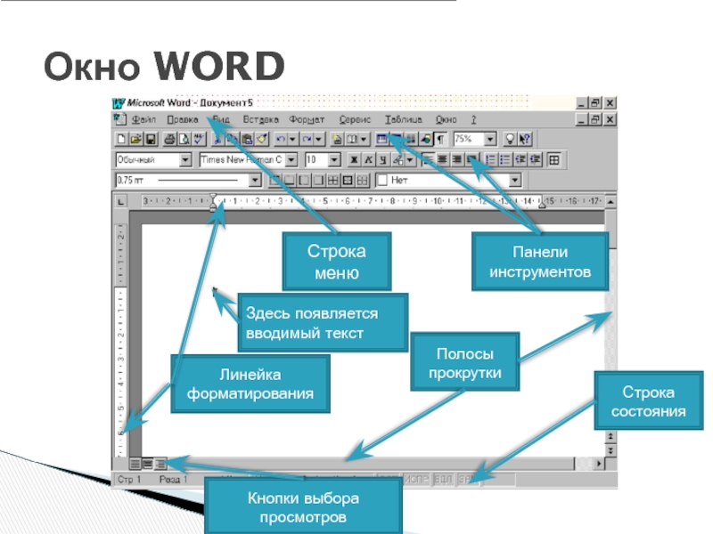 Линия в word на которой можно писать текст | os helper