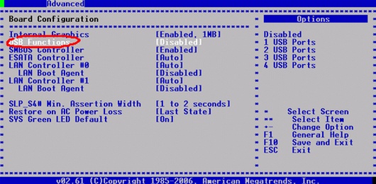 Что значит lan option rom