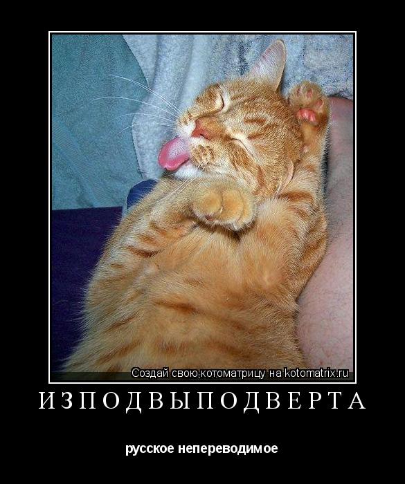 Изподвыподверта: значения и происхождение термина