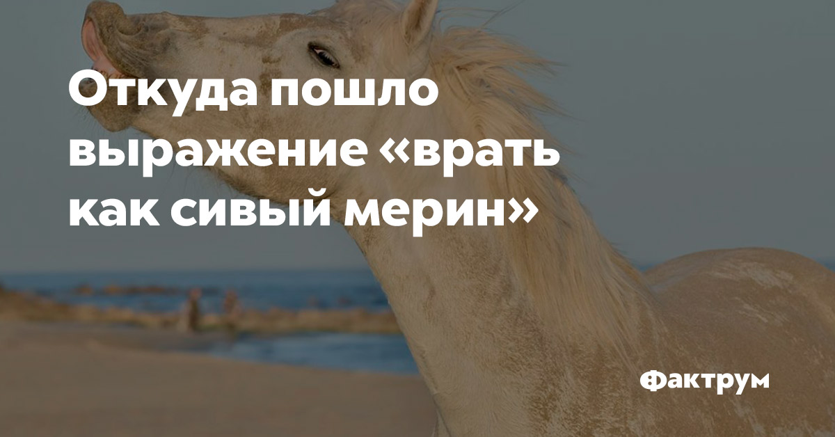 Расхожая фраза – что она значит и как ее использовать правильно