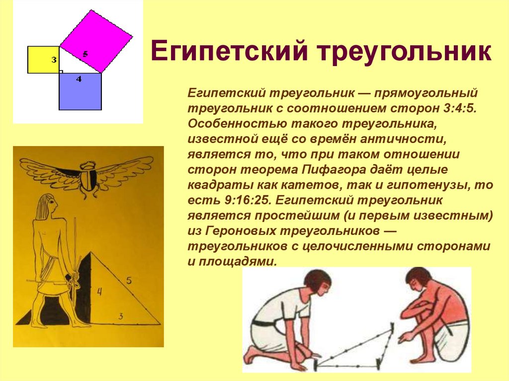 Углы треугольника – виды и примеры