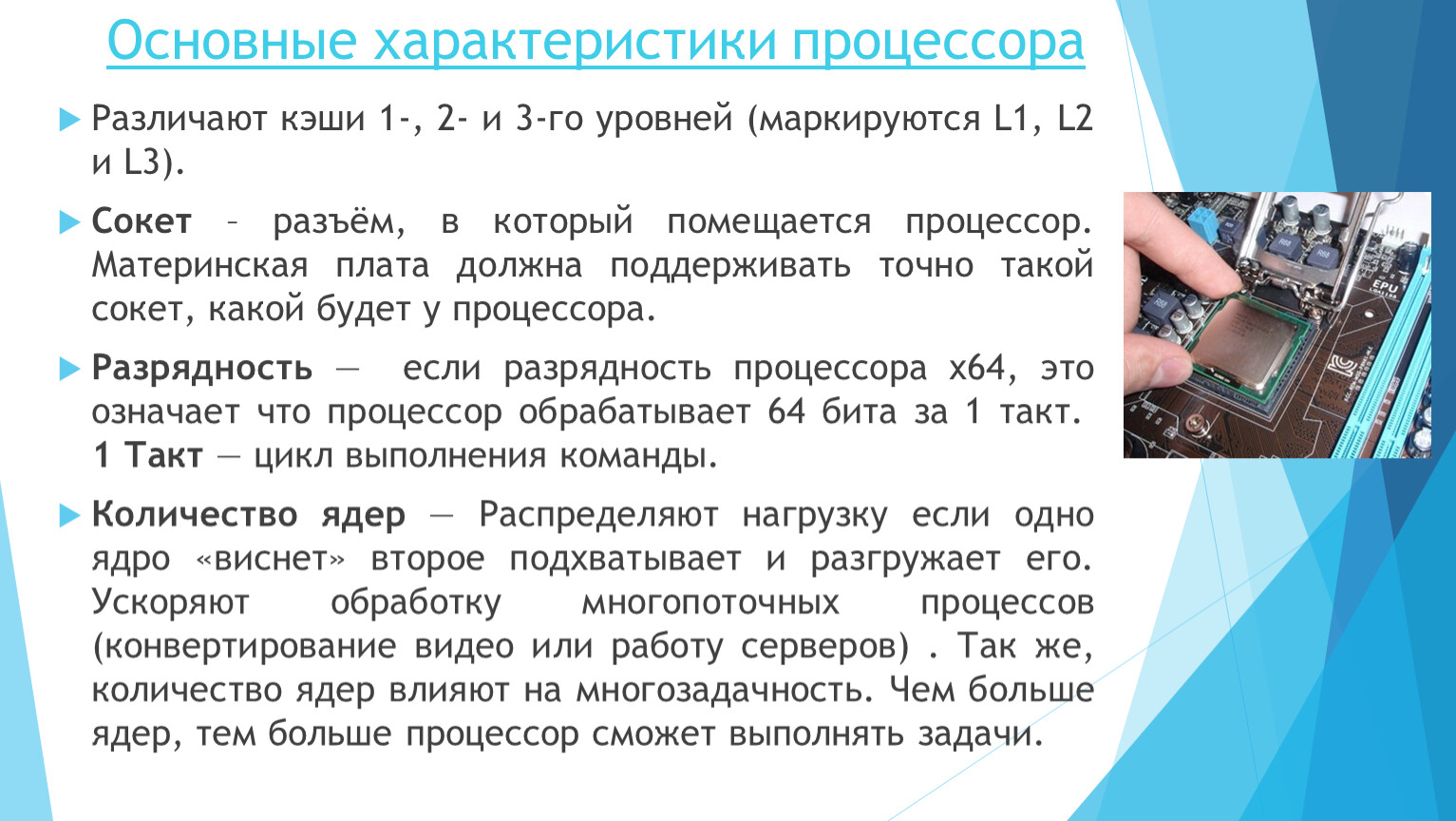 Что такое процессор? вот все, что вам нужно знать