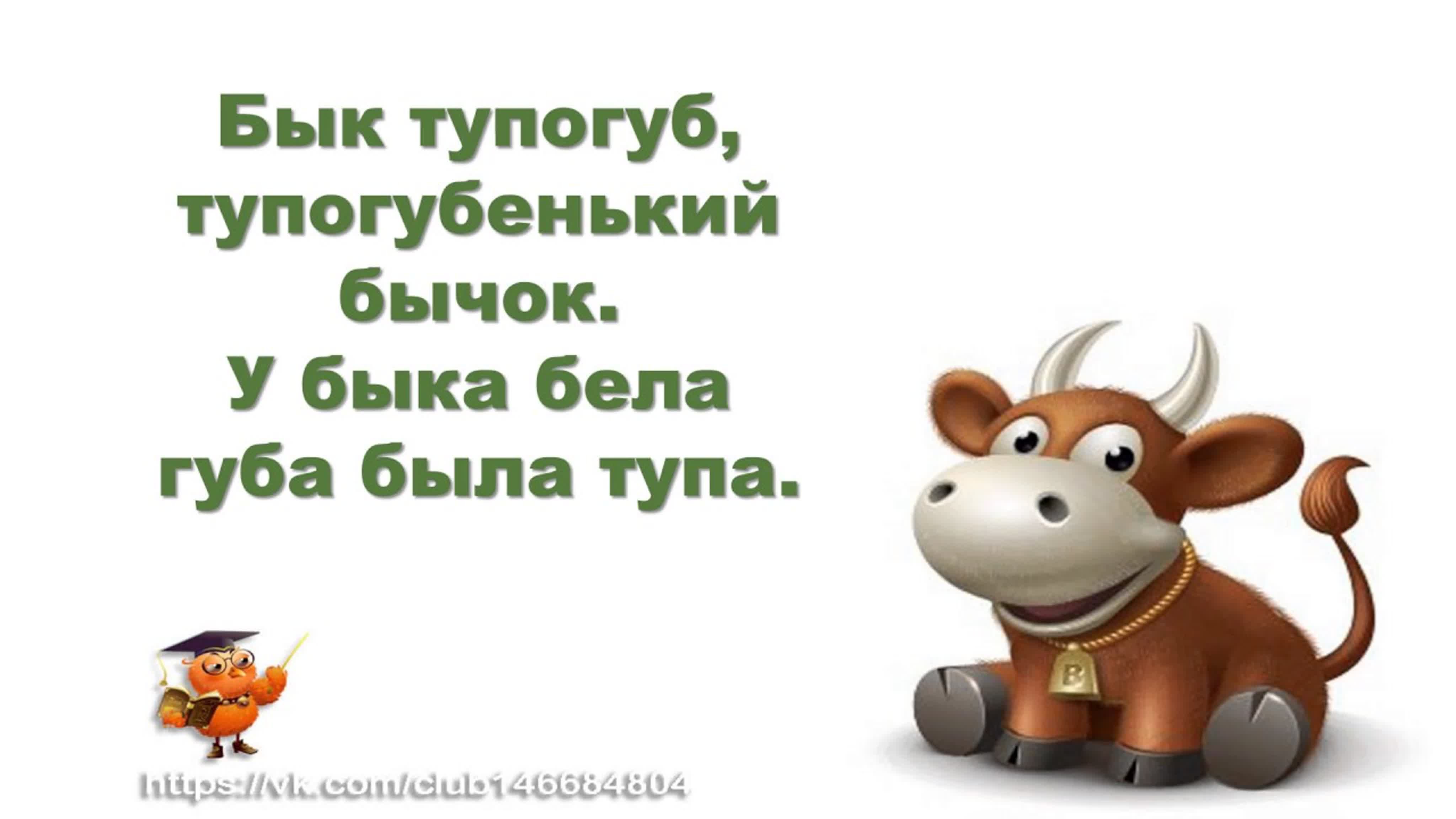 Что значит "тупогубенький бычок" и каков его происхождение