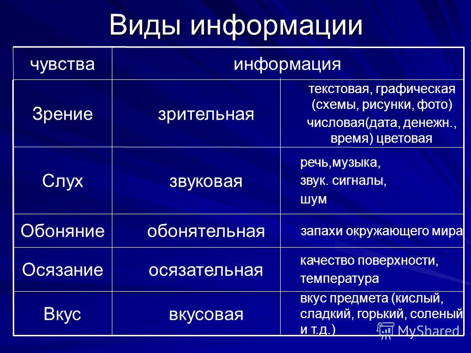 Исходная информация: понятие, определение и примеры