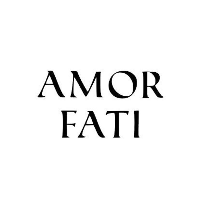 Stoic amor fati: turning fate into your ally - the mindful stoic
