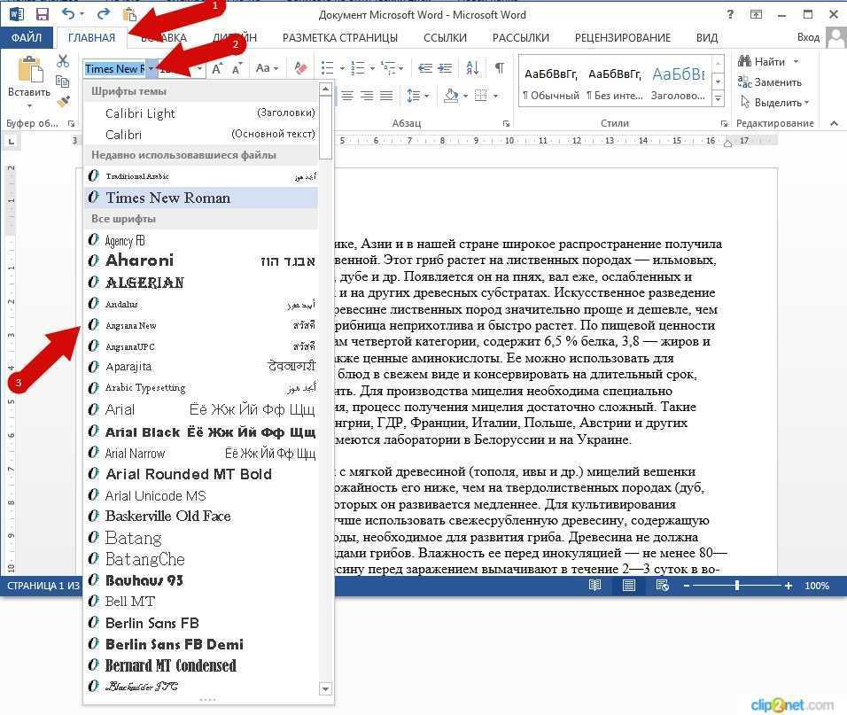 Microsoft word/общая информация