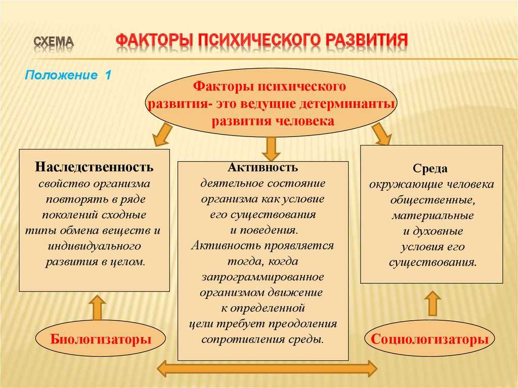 Детерминирующий фактор: значение и влияние