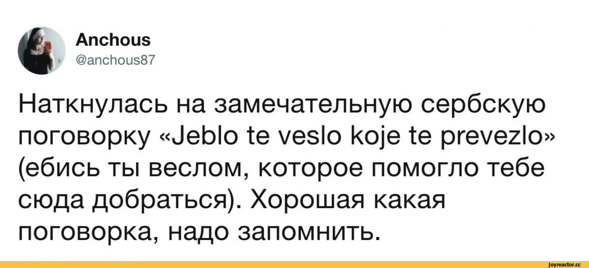 Занимательные ругательства из разных стран мира — сообщество друзей. михаил мороз. (михаил афонин) — newsland