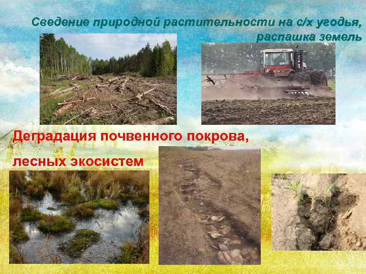 Деградация почв: главные причины проблемы, пути решения и последствия