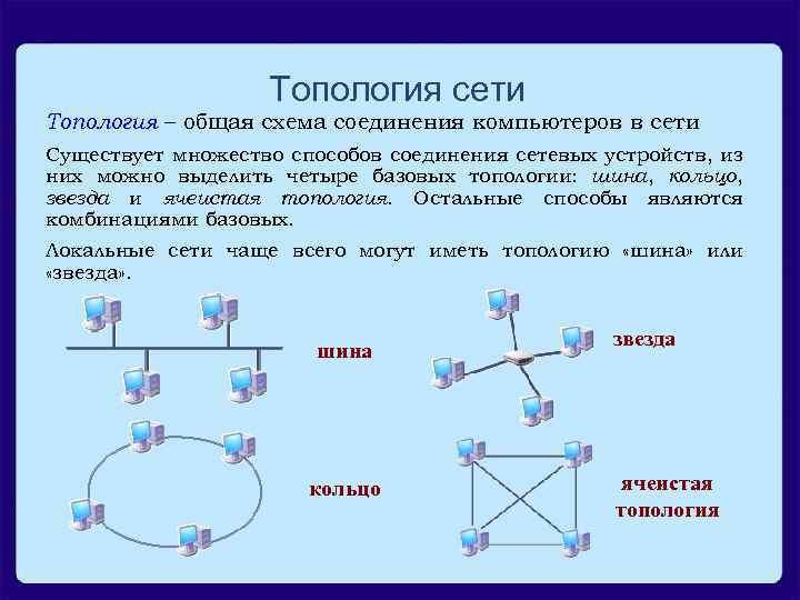 Коммуникационное оборудование. топология сети. компьютерная сеть.