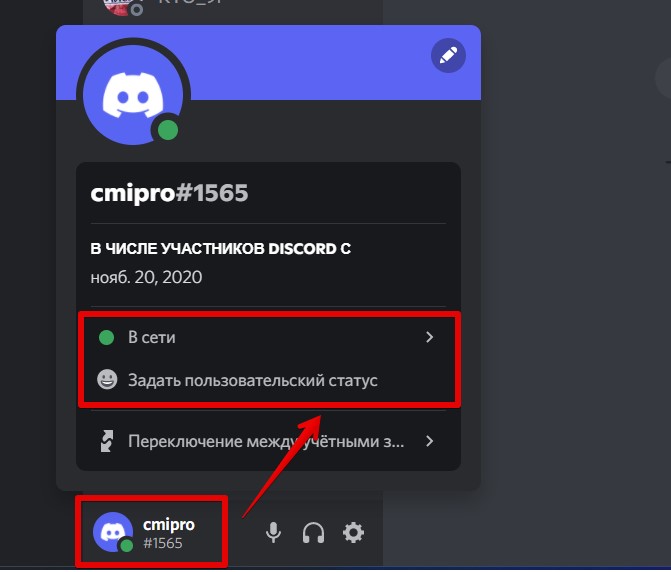 Как установить статус активности на discord - skazhirasskazhi.ru